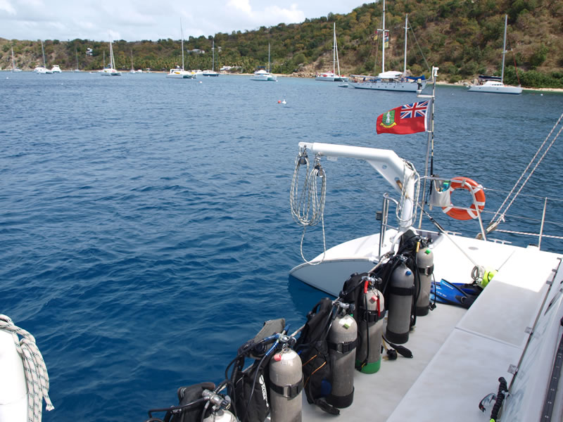 Take the SCUBA Diving Trip of Your Dreams!