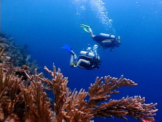 Diving in St. Croix